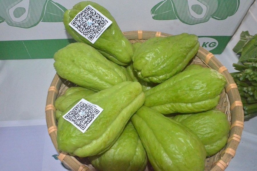 941 sản phẩm OCOP của Lâm Đồng đã phân phối trên các sàn thương mại điện tử. 941 sản phẩm OCOP của Lâm Đồng đã phân phối trên các sàn thương mại điện tử.