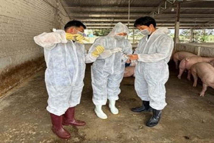 Lấy mẫu tại c&aacute;c địa b&agrave;n, đối tượng c&oacute; nguy cơ cao. (Ảnh: Chi cục Chăn nu&ocirc;i v&agrave; Th&uacute; y)