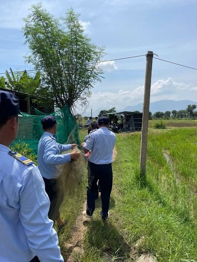 Đoàn kiểm tra phát hiện tại chỗ 2 điểm giăng lưới tàng hình trái phép nhằm bẫy bắt chim. Đoàn kiểm tra phát hiện tại chỗ 2 điểm giăng lưới tàng hình trái phép nhằm bẫy bắt chim.
