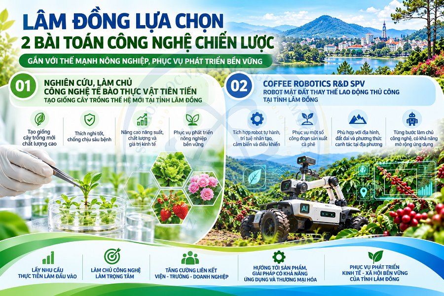 Ảnh minh họa Ảnh minh họa