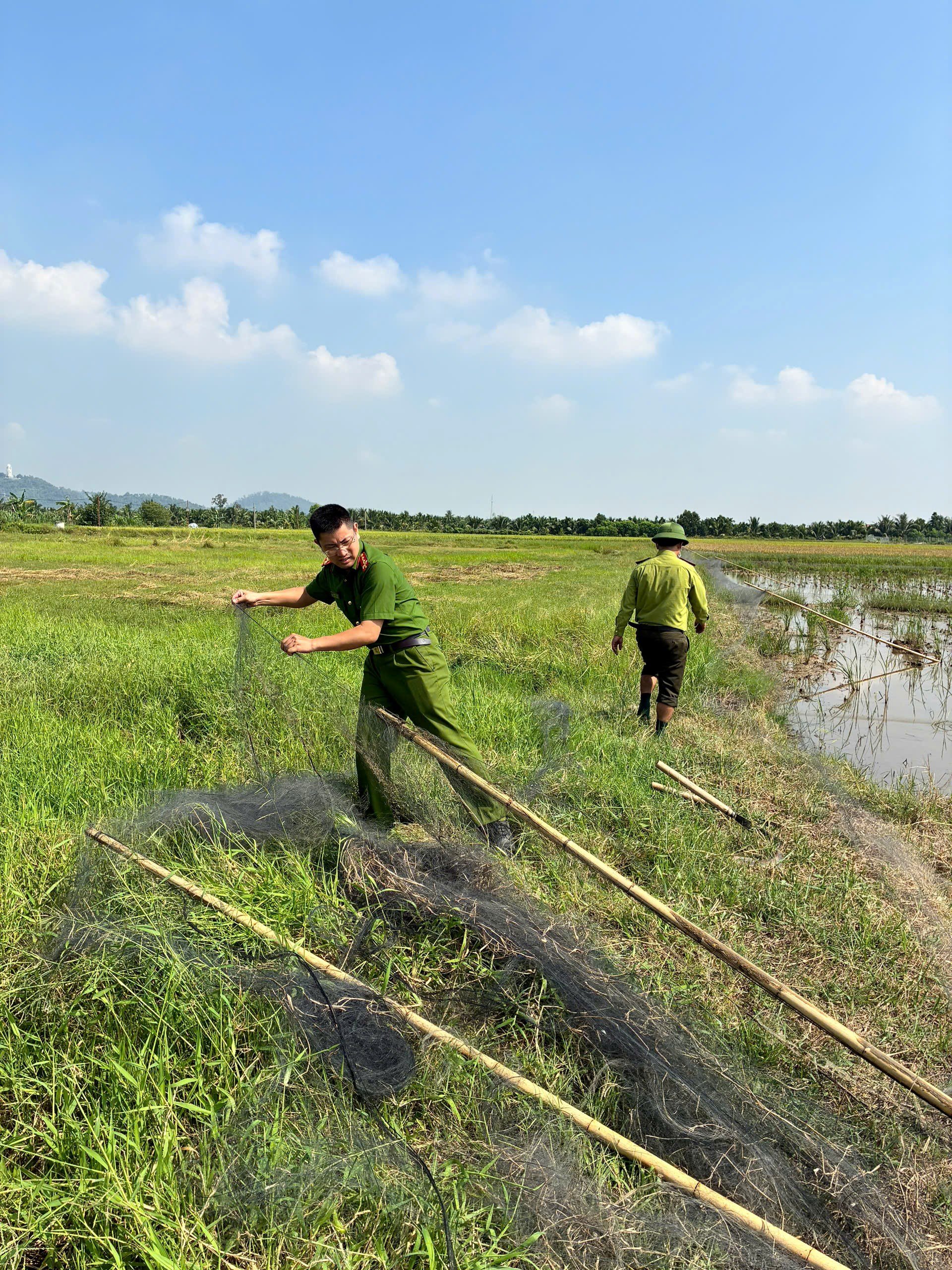 Tiêu hủy 1.500m lưới bẫy chim hoang dã trái phép Tiêu hủy 1.500m lưới bẫy chim hoang dã trái phép