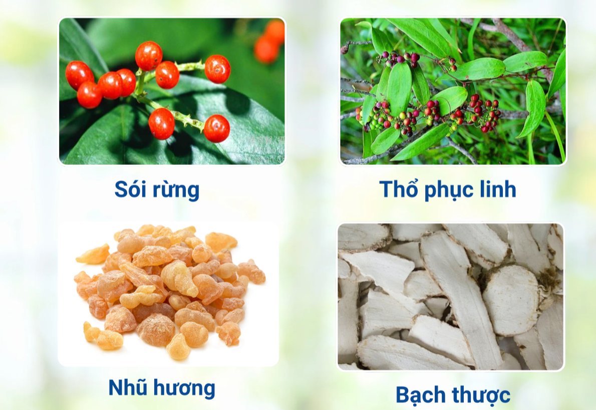Thảo dược giúp hỗ trợ kiểm soát vảy nến an toàn lâu dài Thảo dược giúp hỗ trợ kiểm soát vảy nến an toàn lâu dài