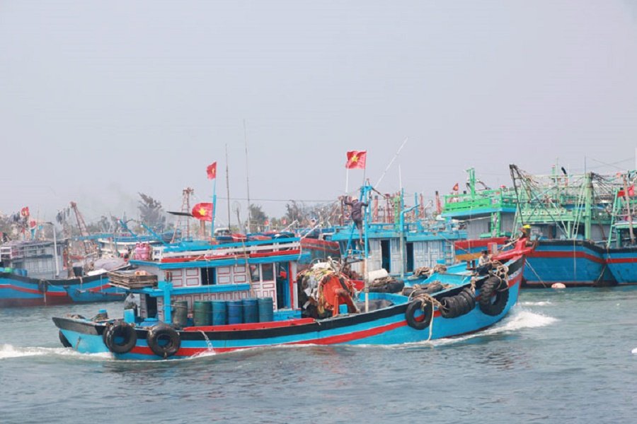 Bộ N&ocirc;ng nghiệp v&agrave; M&ocirc;i trường y&ecirc;u cầu c&aacute;c địa phương quản l&yacute; chặt chẽ từng t&agrave;u c&aacute; nhằm chống khai th&aacute;c hải sản bất hợp ph&aacute;p, kh&ocirc;ng b&aacute;o c&aacute;o v&agrave; kh&ocirc;ng theo quy định.
