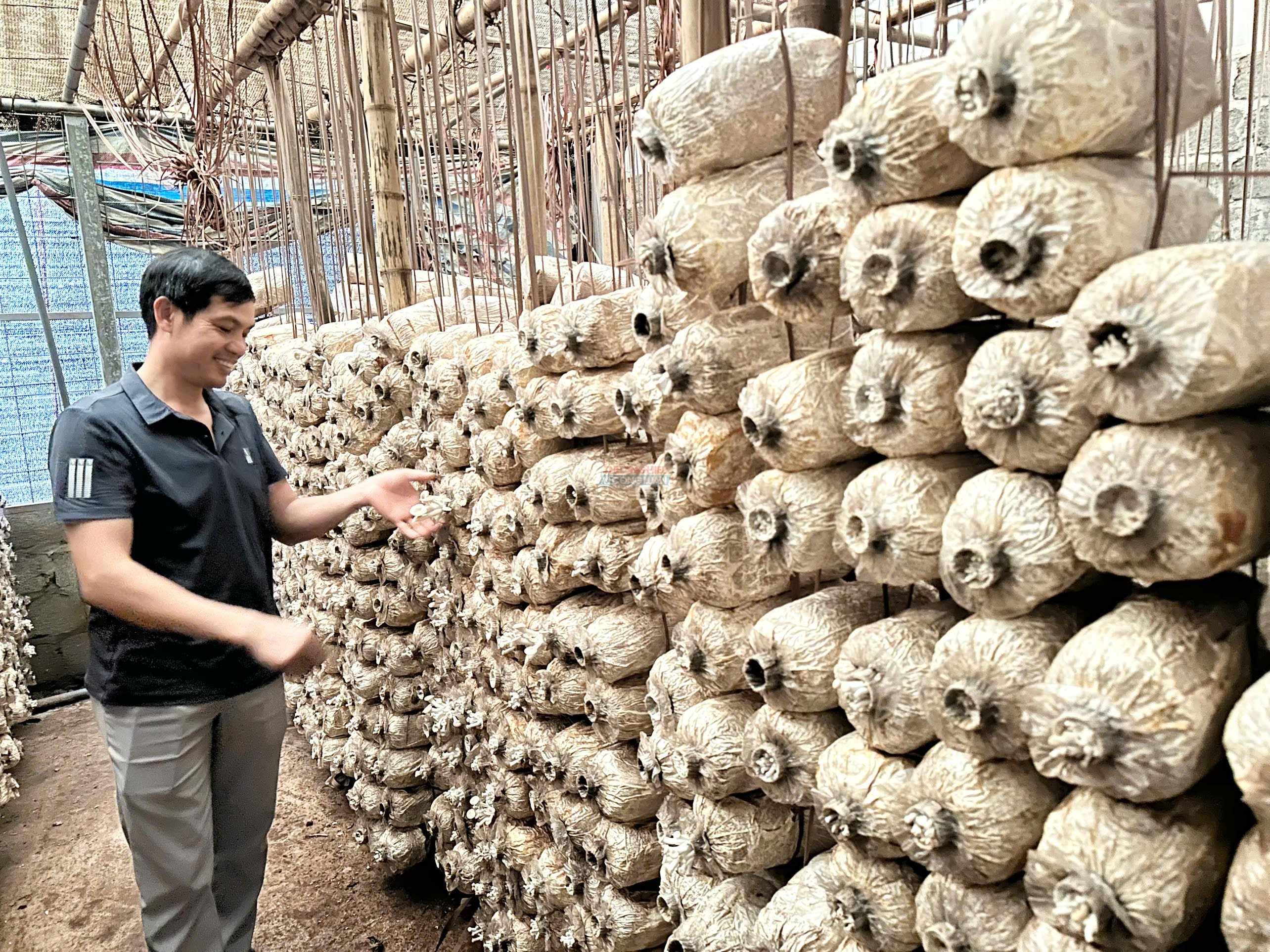 Anh Nguyễn Văn Dần Phó giám đốc công ty Ngọc Minh Châu đang giới thiệu về quy trình trồng nấm sò. Anh Nguyễn Văn Dần Phó giám đốc công ty Ngọc Minh Châu đang giới thiệu về quy trình trồng nấm sò.