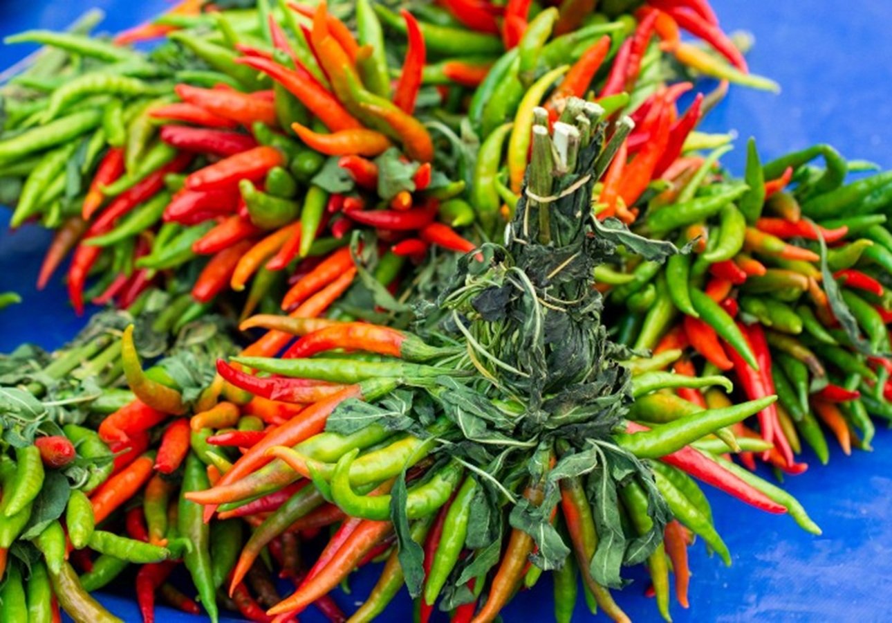Gi&aacute; ớt tăng mạnh