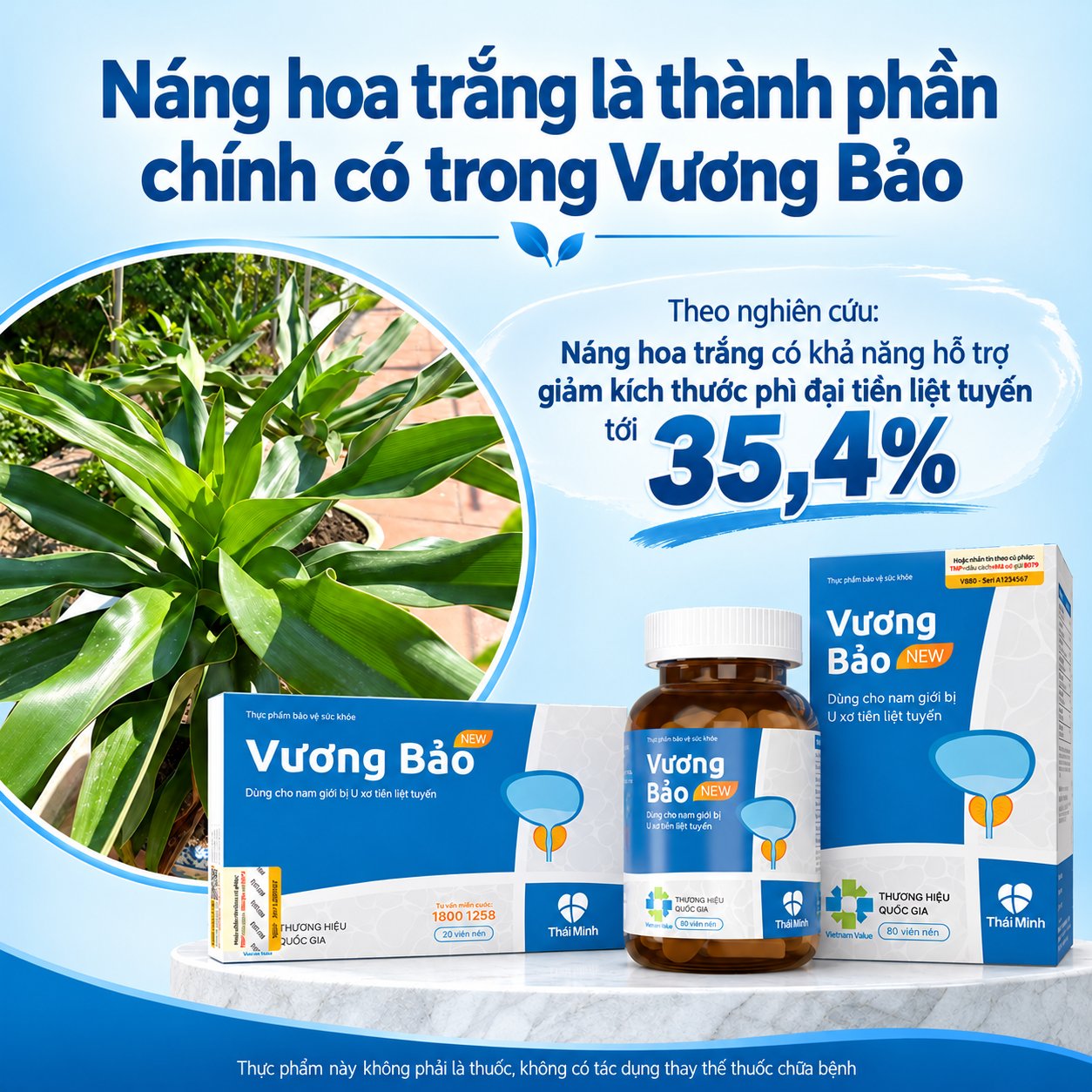 N&aacute;ng hoa trắng l&agrave; th&agrave;nh phần ch&iacute;nh c&oacute; trong Vương Bảo