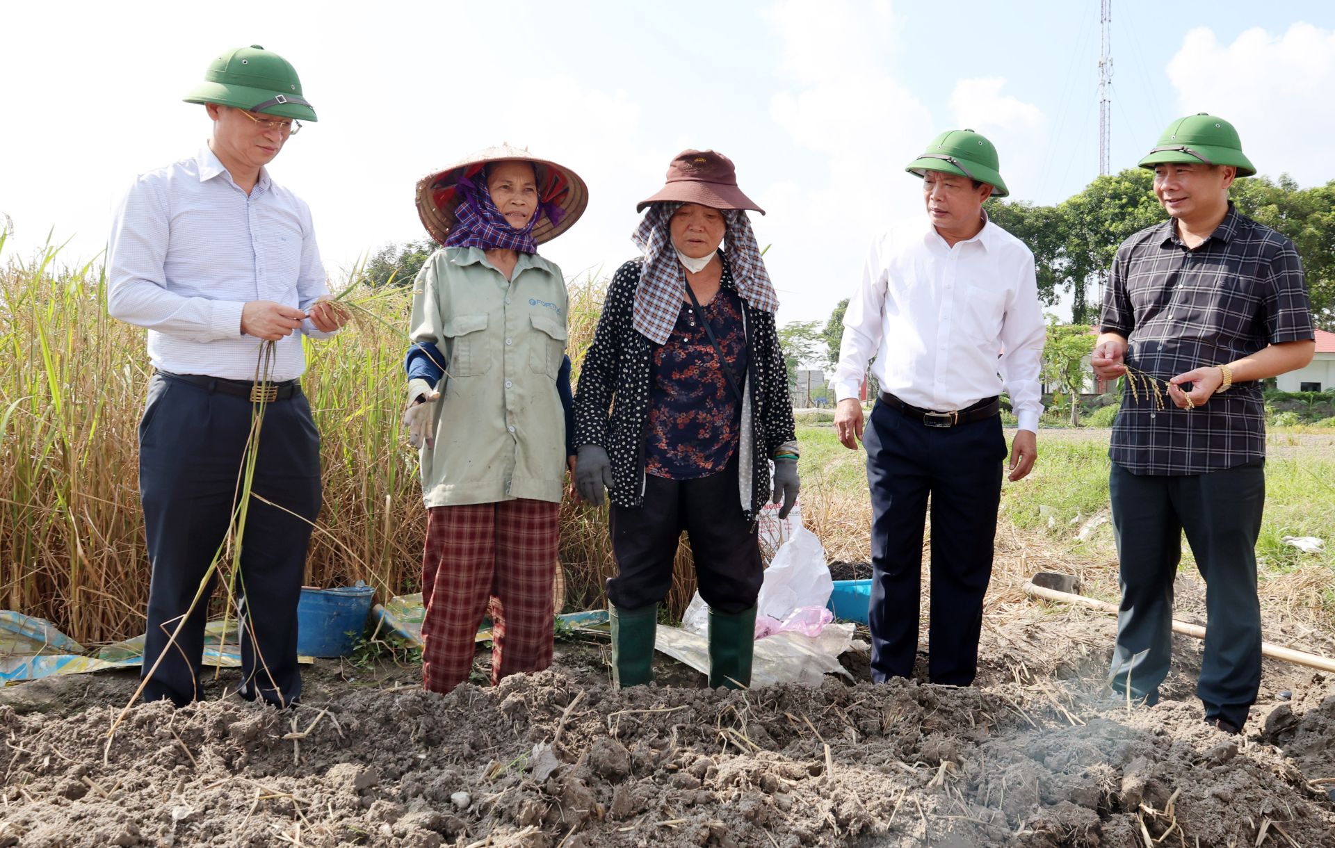 C&aacute;c đồng ch&iacute; l&atilde;nh đạo phường kiểm tra tiến độ thu hoạch l&uacute;a vụ m&ugrave;a v&agrave; gieo trồng c&acirc;y vụ Đ&ocirc;ng tại Tổ d&acirc;n phố H&agrave; Liễu.