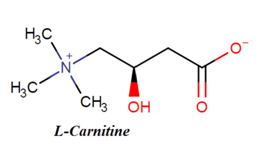 L-Carnitine fumarate giúp tái tạo da, ngăn mề đay, dị ứng tái phát L-Carnitine fumarate giúp tái tạo da, ngăn mề đay, dị ứng tái phát