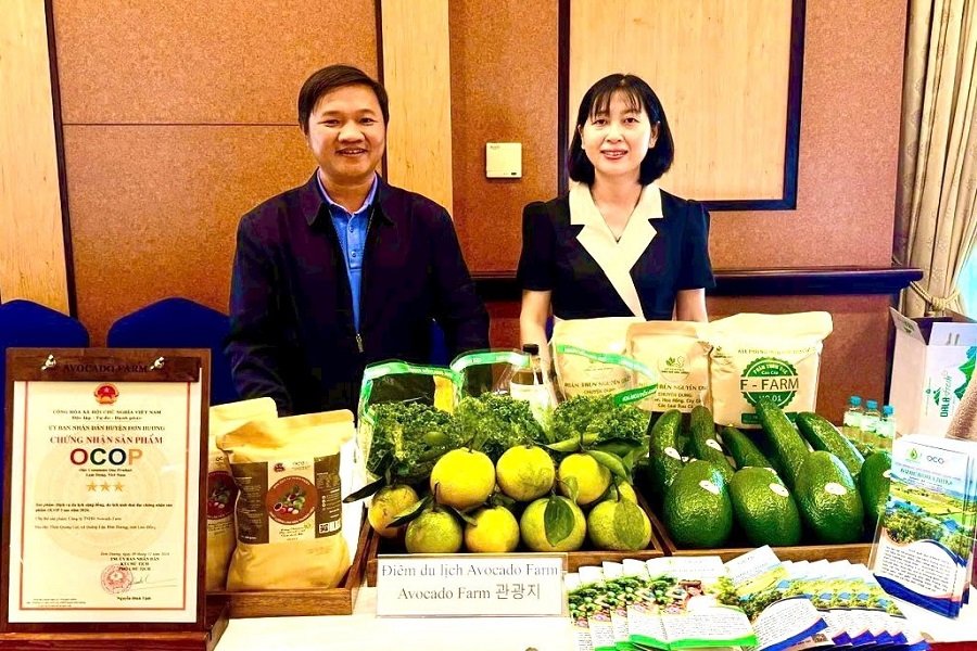 Thương hiệu “Bơ ông Tĩnh” truyền thống trở thành sản phẩm du lịch canh nông tại xã Quảng Lập, tỉnh Lâm Đồng Thương hiệu “Bơ ông Tĩnh” truyền thống trở thành sản phẩm du lịch canh nông tại xã Quảng Lập, tỉnh Lâm Đồng