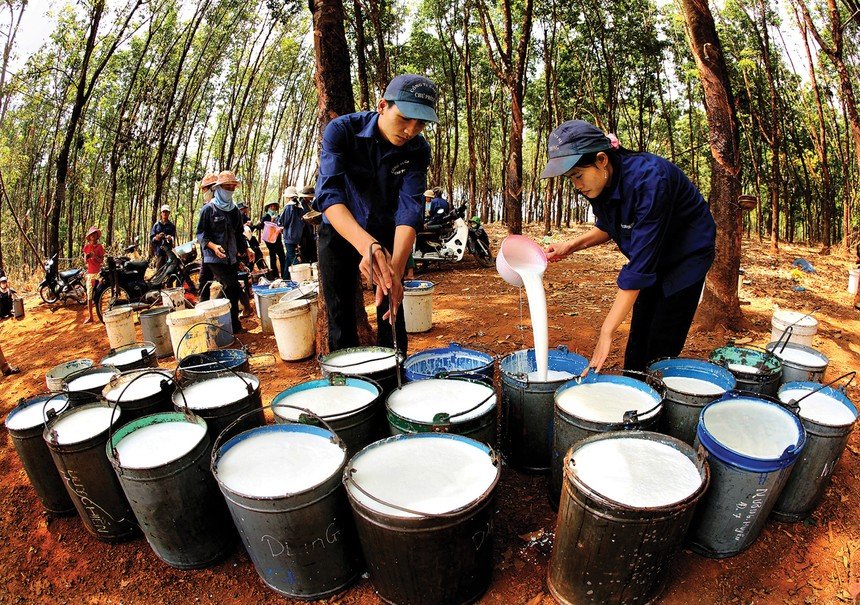 Cao su Đồng Ph&uacute; sắp miễn nhiệm Chủ tịch Mai Huỳnh Nhật