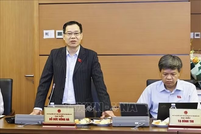 Đại biểu Quốc hội TP H&agrave; Nội Đỗ Đức Hồng H&agrave; ph&aacute;t biểu. Ảnh: Do&atilde;n Tấn/TTXVN