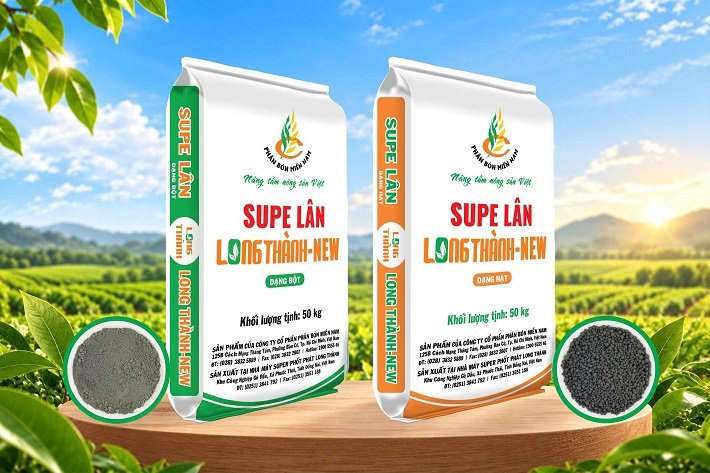 Sản phẩm Supe Lân Long Thành đạt Thương hiệu quốc gia Việt Nam năm 2026, khẳng định chất lượng và khả năng đáp ứng nhu cầu sản xuất nông nghiệp Sản phẩm Supe Lân Long Thành đạt Thương hiệu quốc gia Việt Nam năm 2026, khẳng định chất lượng và khả năng đáp ứng nhu cầu sản xuất nông nghiệp