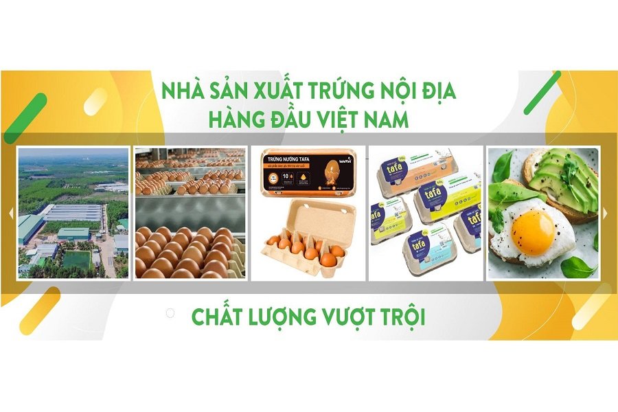 TAFA Group hướng đến x&acirc;y dựng chuỗi gi&aacute; trị chăn nu&ocirc;i hiện đại, trong đ&oacute; chất lượng được kiểm so&aacute;t xuy&ecirc;n suốt từ trang trại đến b&agrave;n ăn, đồng thời ch&uacute; trọng c&aacute;c y&ecirc;u cầu về an to&agrave;n sinh học.