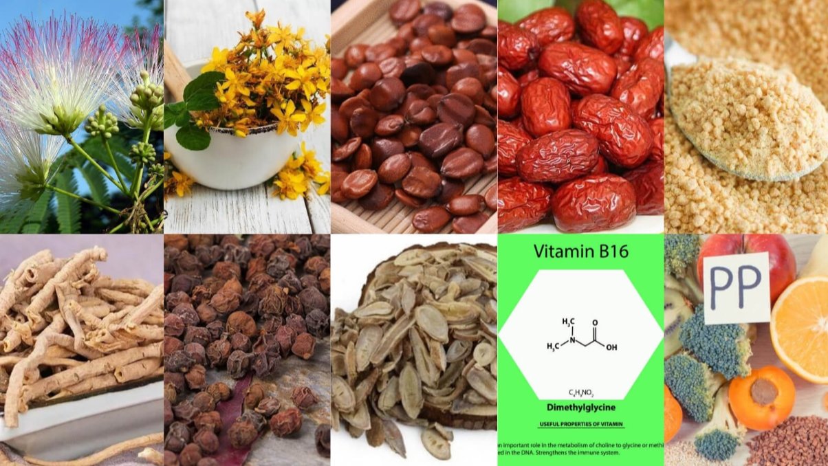 Sự kết hợp c&aacute;c th&agrave;nh phần gi&uacute;p cải thiện căng thẳng thần kinh hiệu quả