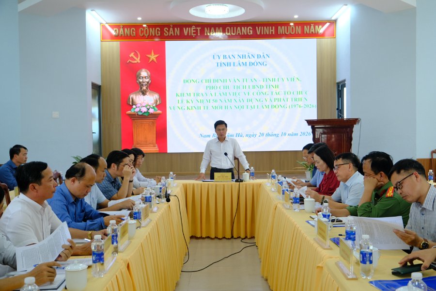 Tỉnh ủy vi&ecirc;n, Ph&oacute; Chủ tịch UBND tỉnh Đinh Văn Tuấn chủ tr&igrave; cuộc họp nghe b&aacute;o c&aacute;o c&ocirc;ng t&aacute;c chuẩn bị cho Lễ kỷ niệm.