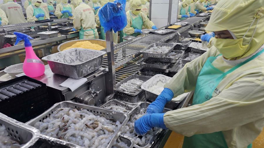 Chế biến tôm tiếp tục giữ vai trò quan trọng trong sản xuất công nghiệp của tỉnh. Chế biến tôm tiếp tục giữ vai trò quan trọng trong sản xuất công nghiệp của tỉnh.