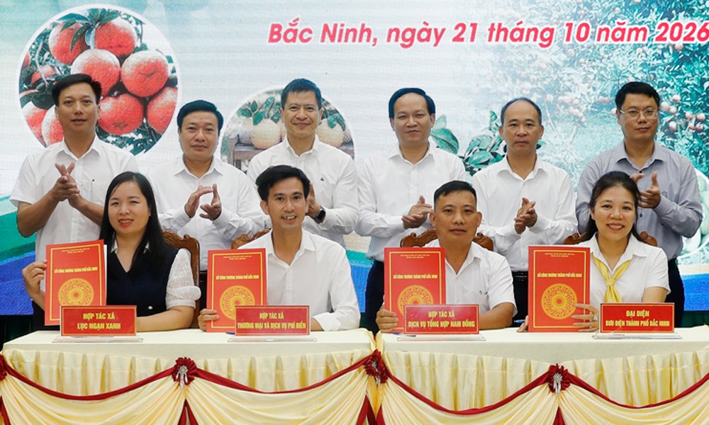 Đại biểu chứng kiến nghi thức k&yacute; kết bi&ecirc;n bản thỏa thuận, hợp t&aacute;c ti&ecirc;u thụ tr&aacute;i c&acirc;y chủ lực, đặc trưng th&agrave;nh phố Bắc Ninh năm 2026.