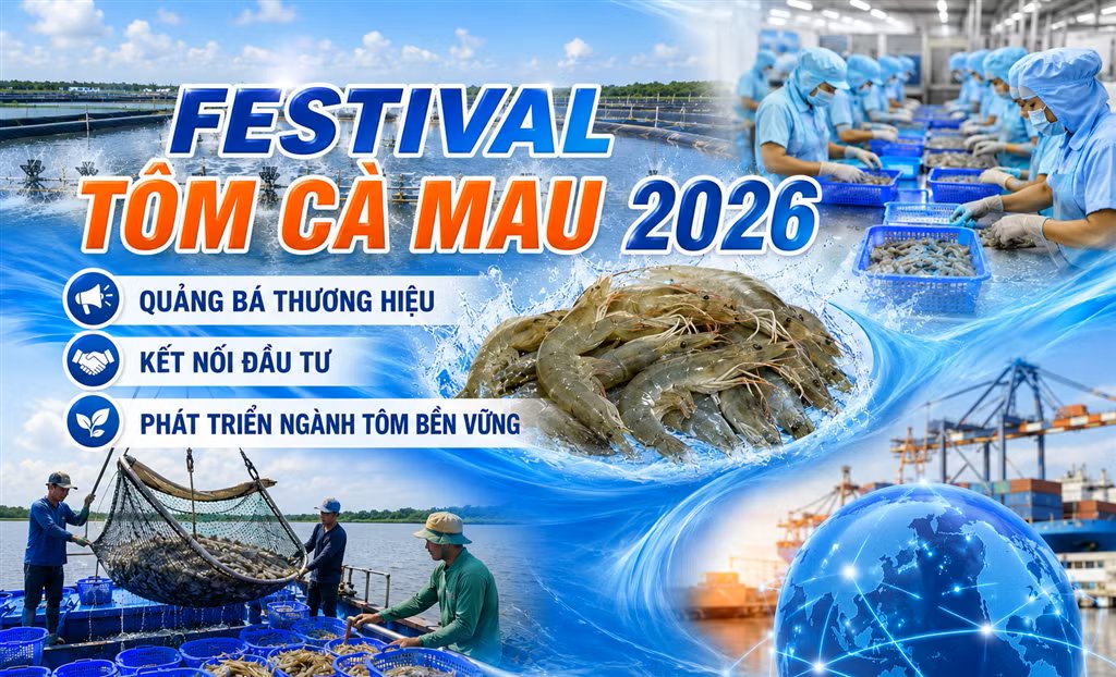 Hoạt động sản xuất, nuôi tôm tại Cà Mau từng bước ứng dụng khoa học - công nghệ, hướng đến phát triển bền vững. Hoạt động sản xuất, nuôi tôm tại Cà Mau từng bước ứng dụng khoa học - công nghệ, hướng đến phát triển bền vững.