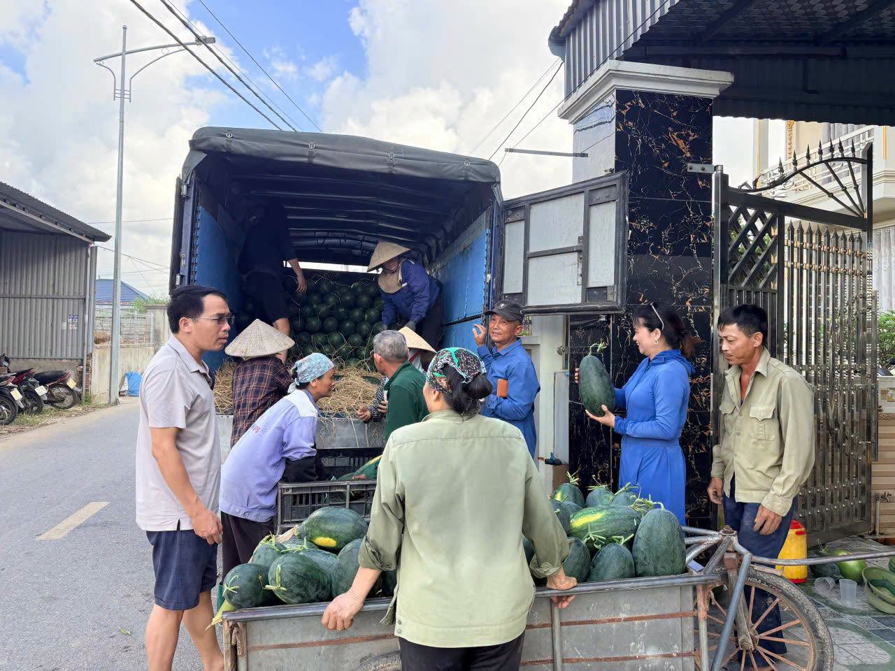 Nông dân xã Quyết Thắng phấn khởi với vụ dưa hấu Thu Đông năm 2026 Nông dân xã Quyết Thắng phấn khởi với vụ dưa hấu Thu Đông năm 2026