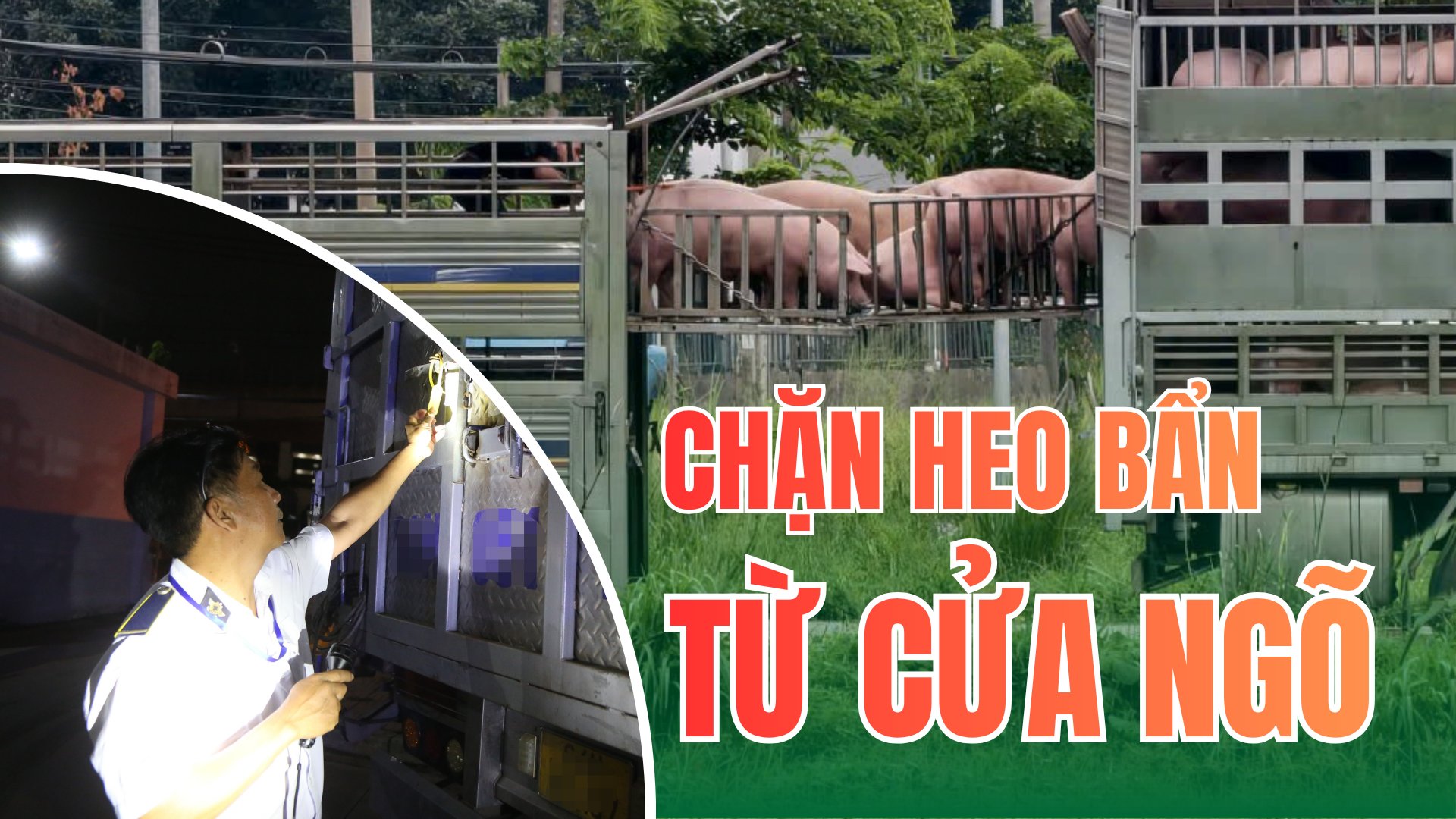 Vụ việc phát hiện 280 con heo, trọng lượng hơn 35 tấn, trên ba xe tải có dấu hiệu sử dụng chất cấm, mở đầu cho quá trình theo dõi, điều tra của nhóm phóng viên trong tuyến bài “Những người giữ an toàn cho bữa ăn của 14 triệu dân TP.HCM”. Vụ việc phát hiện 280 con heo, trọng lượng hơn 35 tấn, trên ba xe tải có dấu hiệu sử dụng chất cấm, mở đầu cho quá trình theo dõi, điều tra của nhóm phóng viên trong tuyến bài “Những người giữ an toàn cho bữa ăn của 14 triệu dân TP.HCM”.