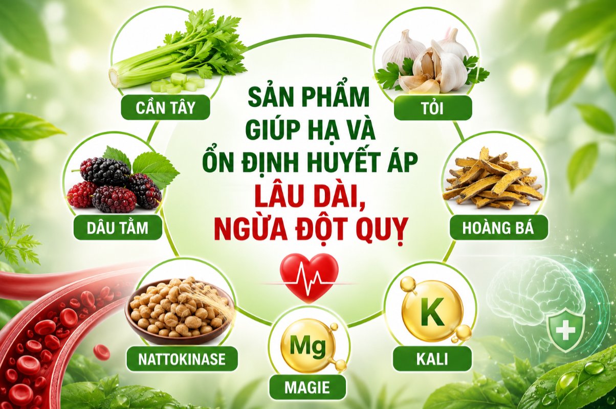 Người cao huyết áp dùng sản phẩm thảo dược sẽ giúp giảm huyết áp lâu bền Người cao huyết áp dùng sản phẩm thảo dược sẽ giúp giảm huyết áp lâu bền