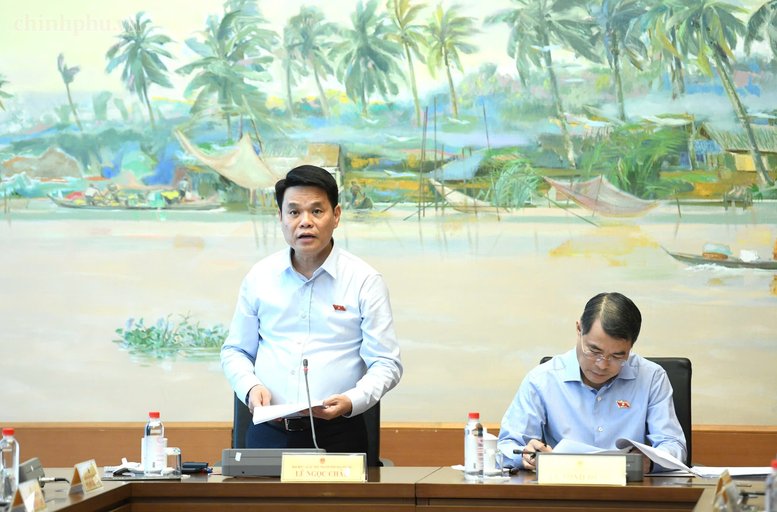 Đại biểu Quốc hội th&agrave;nh phố Hải Ph&ograve;ng L&ecirc; Ngọc Ch&acirc;u ph&aacute;t biểu - Ảnh: chinhphu.vn/Nhật Bắc