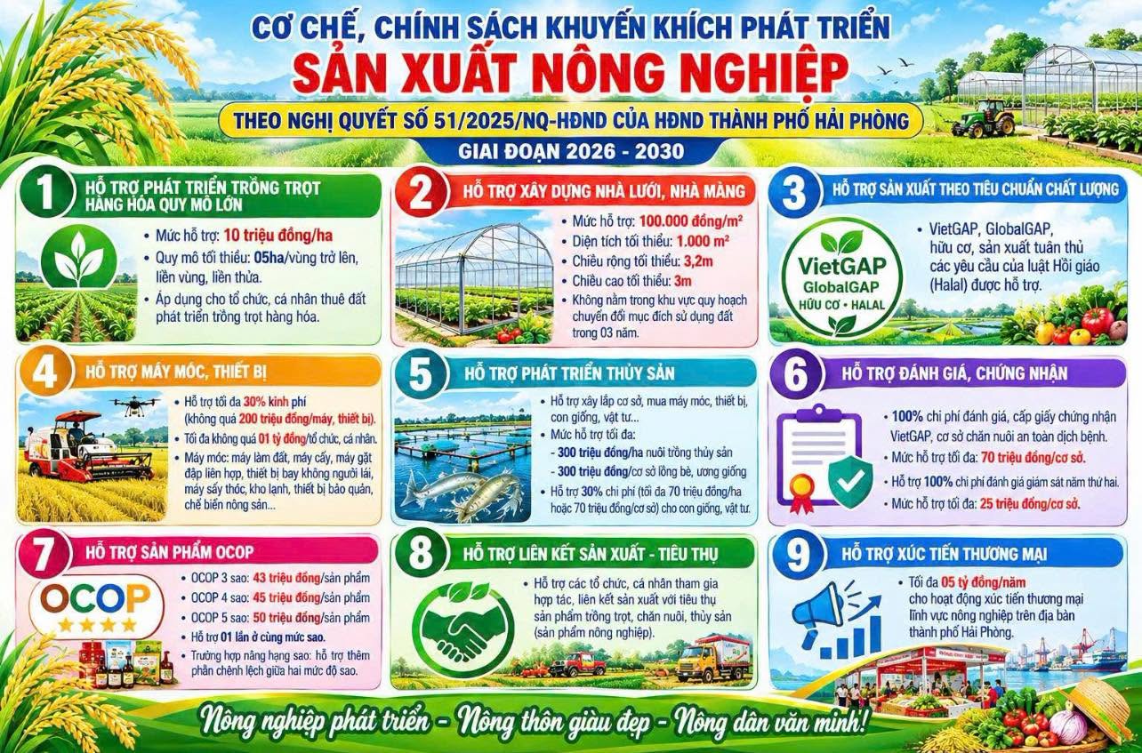 Hải Phòng khuyến khích phát triển sản xuất nông nghiệp hàng hóa tập trung. Hải Phòng khuyến khích phát triển sản xuất nông nghiệp hàng hóa tập trung.