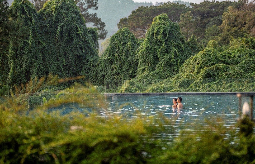 Rừng th&ocirc;ng l&acirc;u năm c&ugrave;ng địa h&igrave;nh thung lũng tạo n&ecirc;n bối cảnh thi&ecirc;n nhi&ecirc;n đặc trưng cho những trải nghiệm chăm s&oacute;c sức khỏe tại Thanh Xuan Valley.