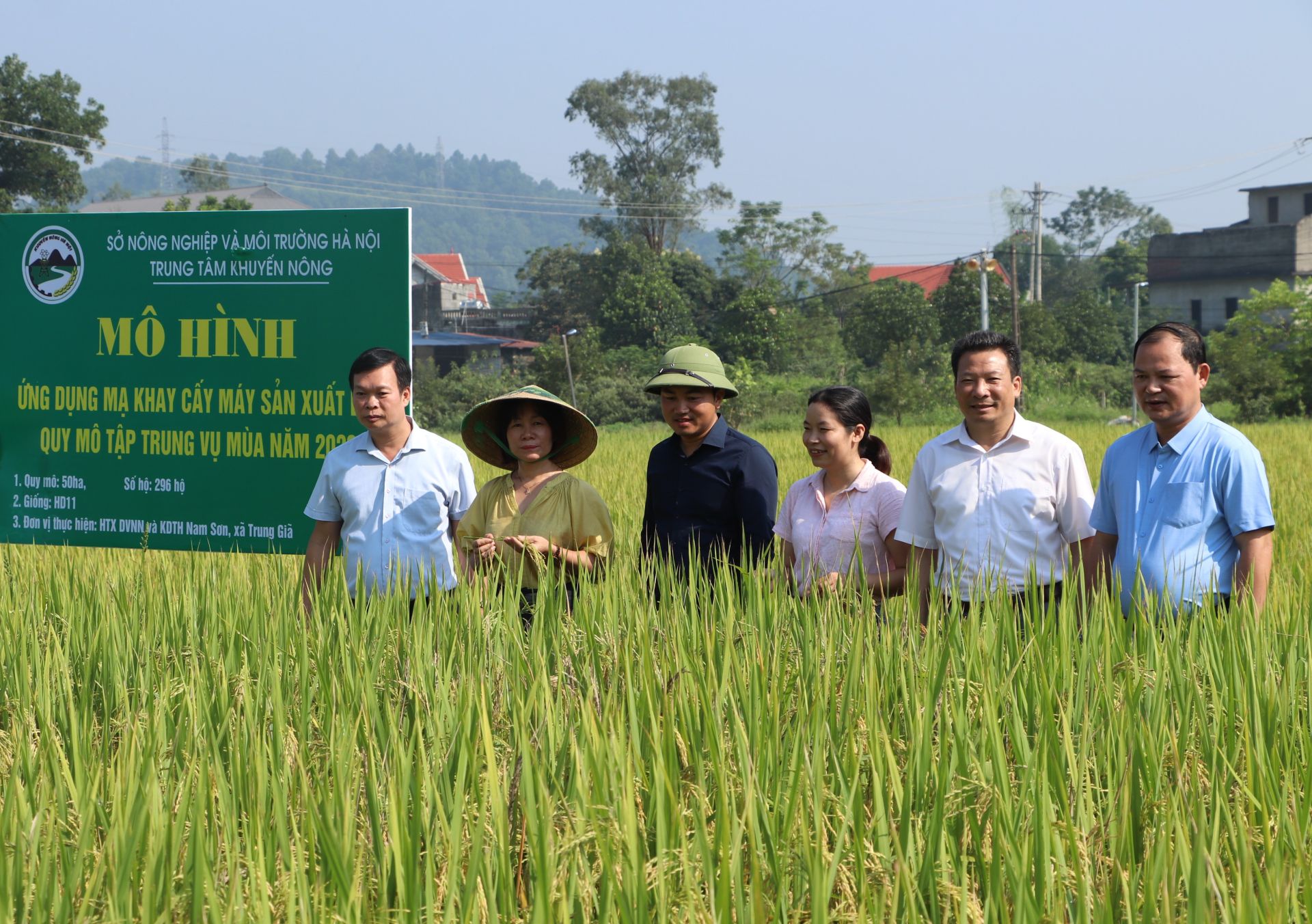 Mô hình ứng dụng mạ khay cấy máy trong sản xuất lúa quy mô tập trung tại xã Trung Giã. Mô hình ứng dụng mạ khay cấy máy trong sản xuất lúa quy mô tập trung tại xã Trung Giã.