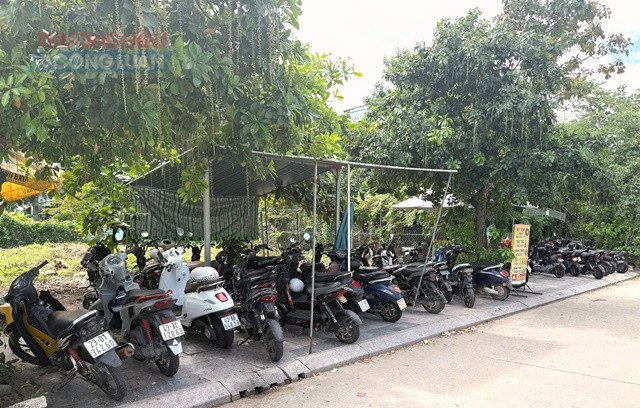 Học sinh THCS đi xe điện: Cấm hay quản lý đúng? - Hình 1