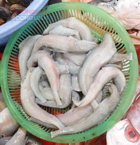 C&aacute; khoai b&aacute;n ngo&agrave;i chợ ở TP. Đ&agrave; Nẵng.