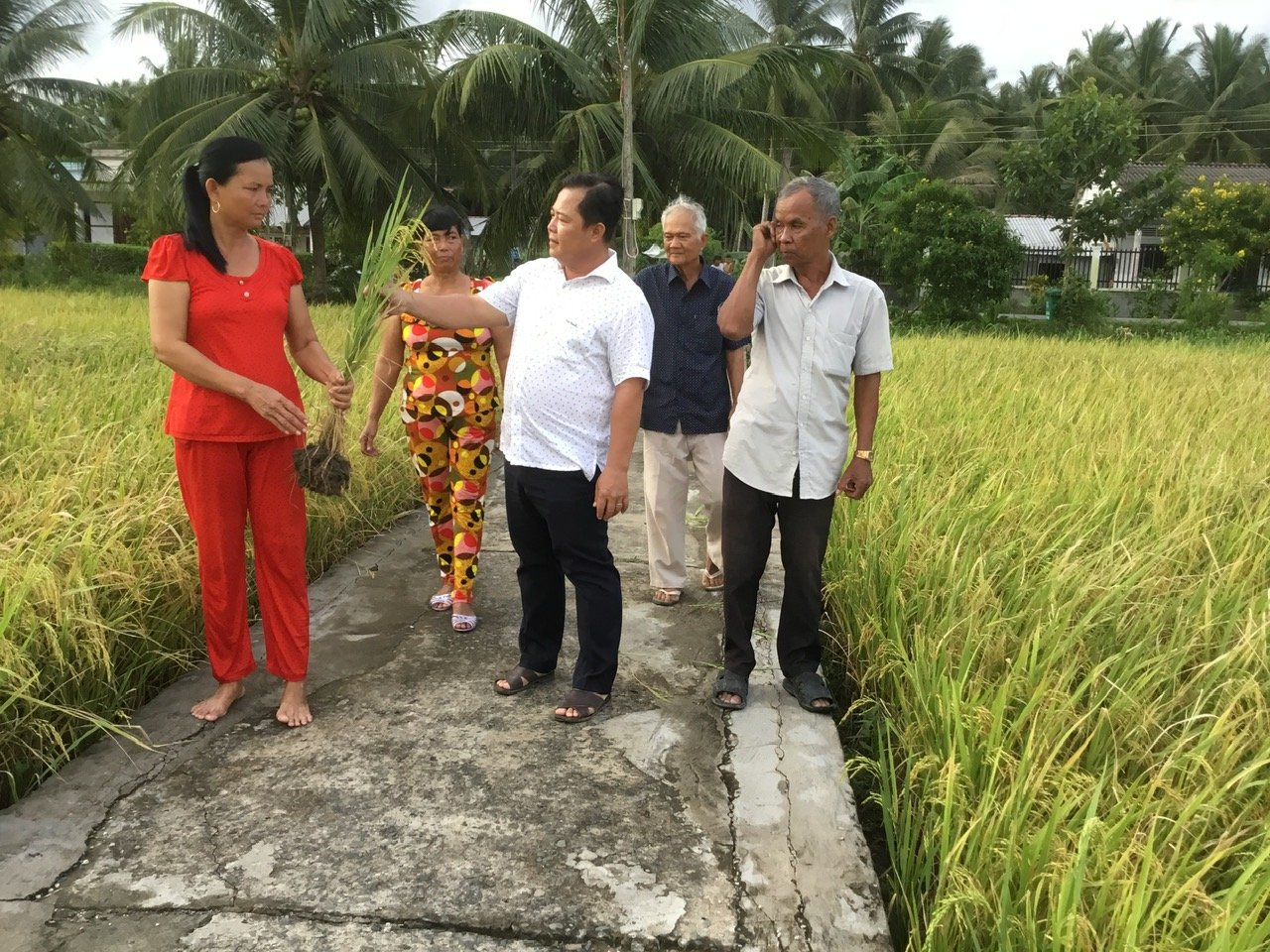 Lãnh đạo Hợp tác xã cùng nông dân thăm đồng Lãnh đạo Hợp tác xã cùng nông dân thăm đồng
