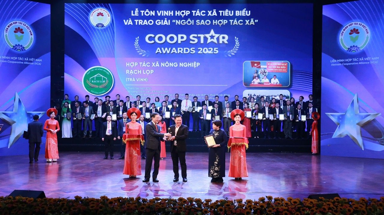 Gạo Rạch Lọp Tiểu Cần: Nâng tầm hạt gạo Việt từ sức mạnh kinh tế tập thể - Hình 1