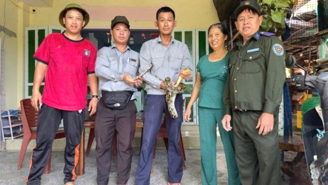 Lực lượng chức năng tiếp nhận động vật nguy cấp quý hiếm từ người dân để đưa trở về môi trường tự nhiên. Ảnh: Ban quản lý khu bảo tồn thiên nhiên Cù Lao Chàm. Lực lượng chức năng tiếp nhận động vật nguy cấp quý hiếm từ người dân để đưa trở về môi trường tự nhiên. Ảnh: Ban quản lý khu bảo tồn thiên nhiên Cù Lao Chàm.