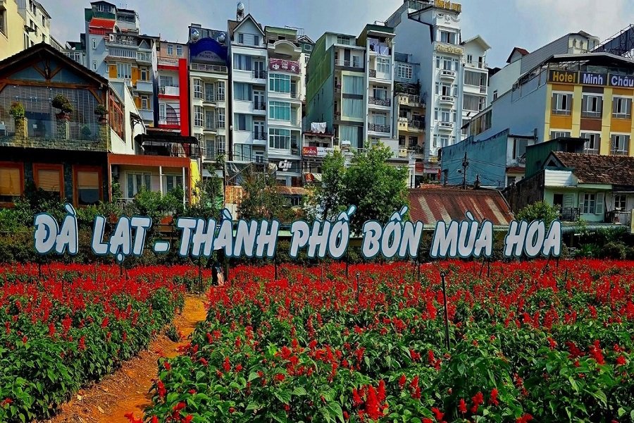Đà Lạt đã chuyển dịch từ du lịch mùa vụ sang du lịch trải nghiệm 4 mùa. Đà Lạt đã chuyển dịch từ du lịch mùa vụ sang du lịch trải nghiệm 4 mùa.