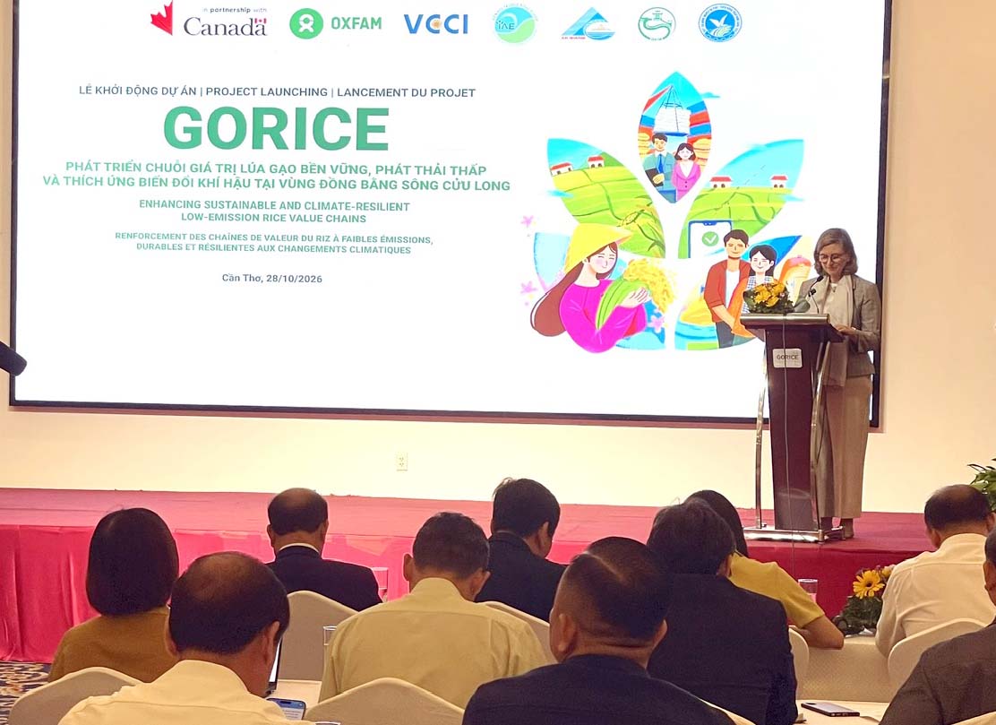 Khởi động dự án GORICE tại 3 địa phương: Cần Thơ, An Giang, Vĩnh Long Khởi động dự án GORICE tại 3 địa phương: Cần Thơ, An Giang, Vĩnh Long