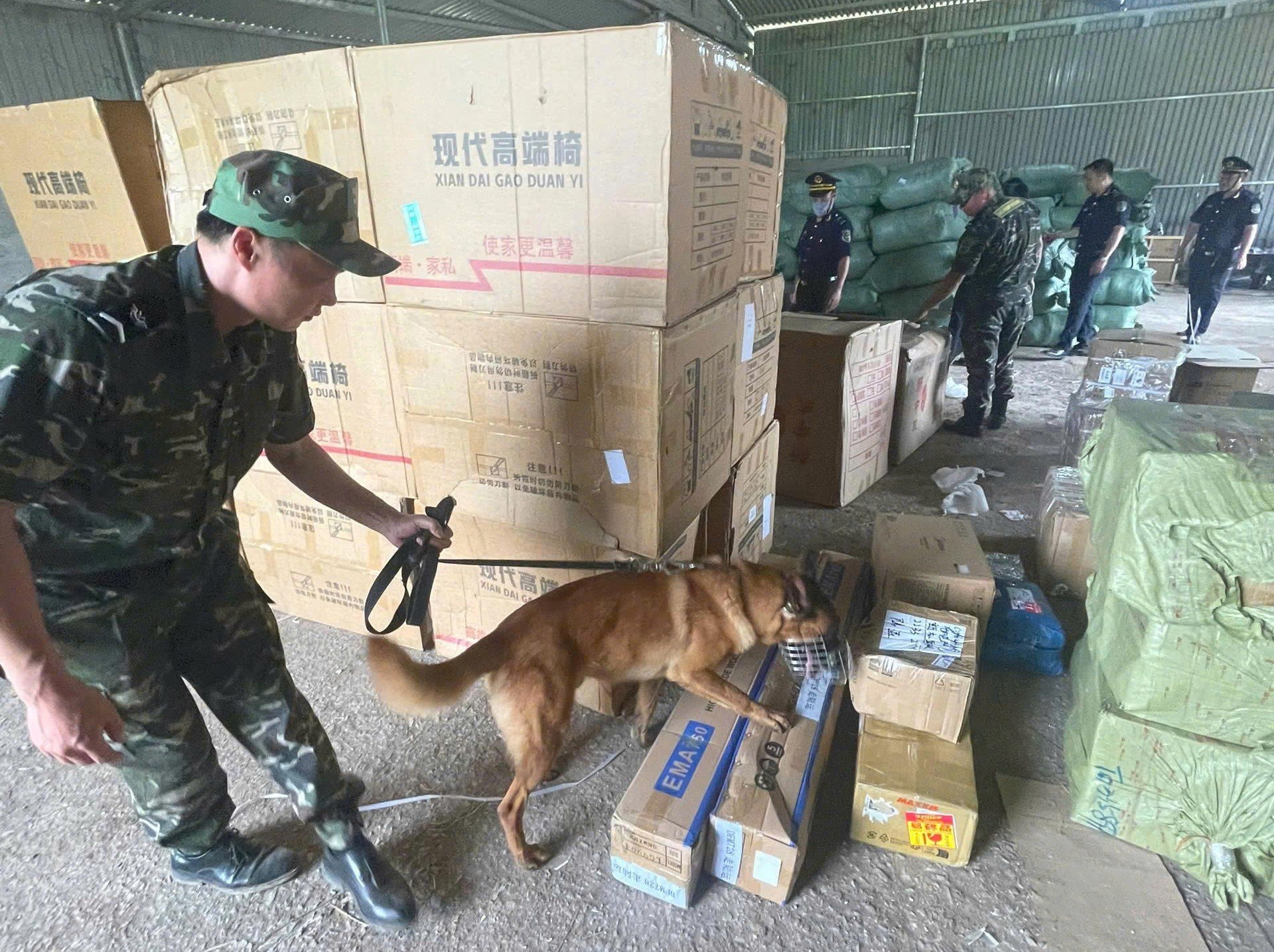 Lực lượng Hải quan khu vực XVI sử dụng chó nghiệp vụ trong công tác kiểm tra hàng hoá xuất nhập khẩu Lực lượng Hải quan khu vực XVI sử dụng chó nghiệp vụ trong công tác kiểm tra hàng hoá xuất nhập khẩu