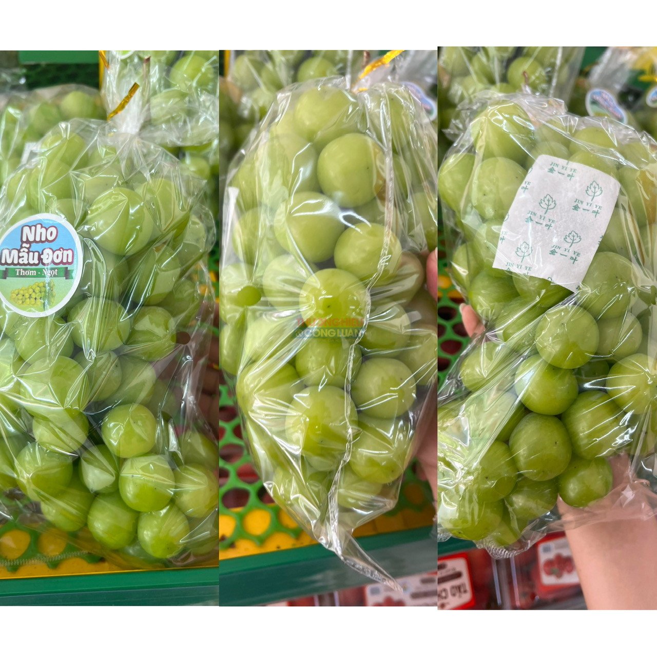 Sản phẩm nho bày bán không có thông tin tem nhãn tiếng Việt Sản phẩm nho bày bán không có thông tin tem nhãn tiếng Việt