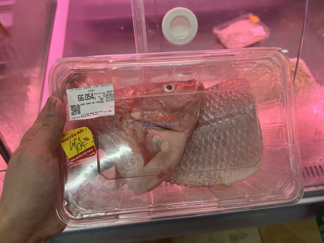 Tem nhãn của sản phẩm cá diêu hồng in không đầy đủ, phần chữ về nguồn gốc xuất xứ bị cắt, không rõ ràng Tem nhãn của sản phẩm cá diêu hồng in không đầy đủ, phần chữ về nguồn gốc xuất xứ bị cắt, không rõ ràng