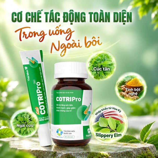 Cơ chế tác động toàn diện lên búi trĩ Cơ chế tác động toàn diện lên búi trĩ