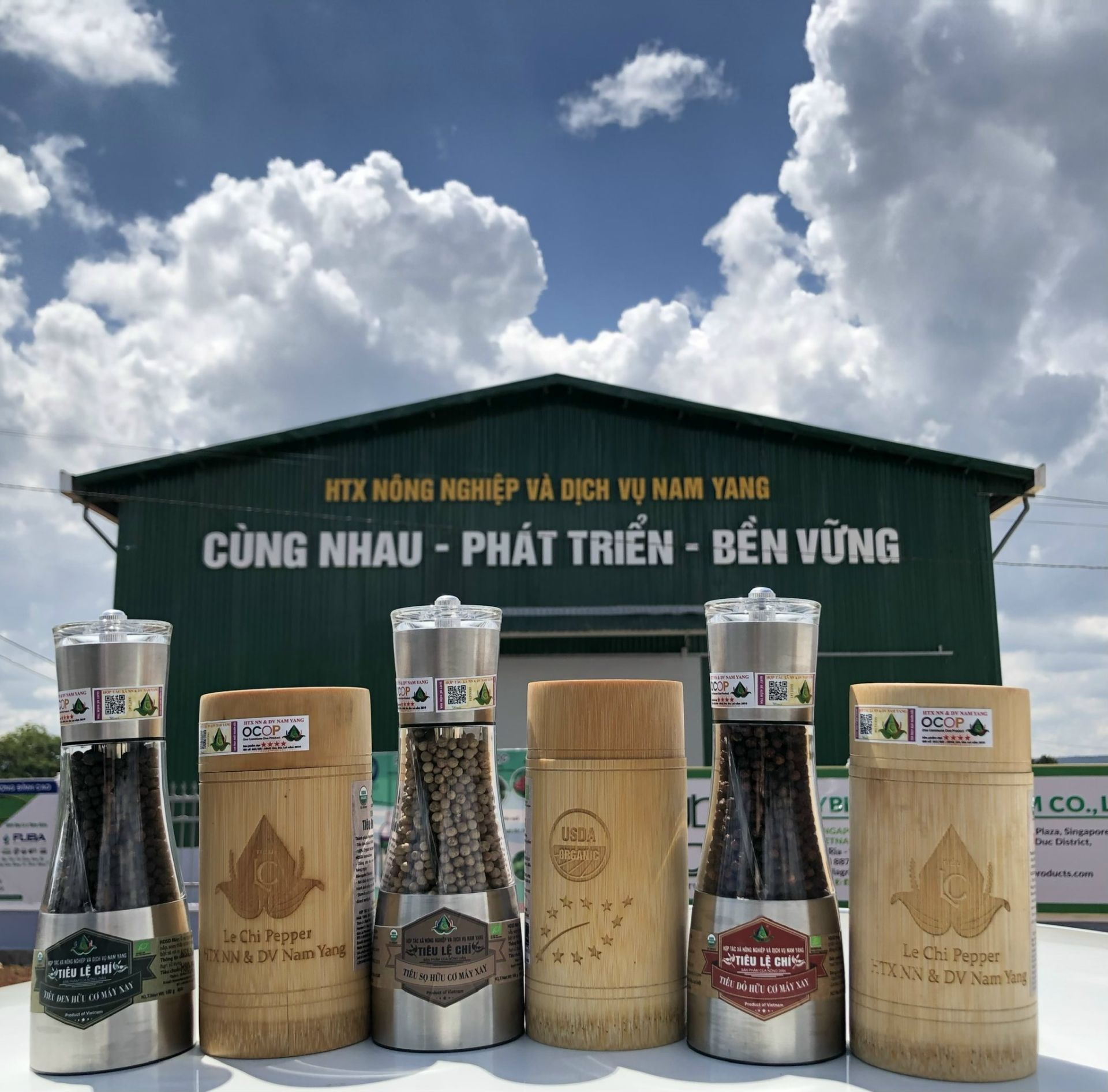 Hợp tác xã Nông nghiệp và dịch vụ Nam Yang: Nâng tầm hồ tiêu hữu cơ - Hình 1