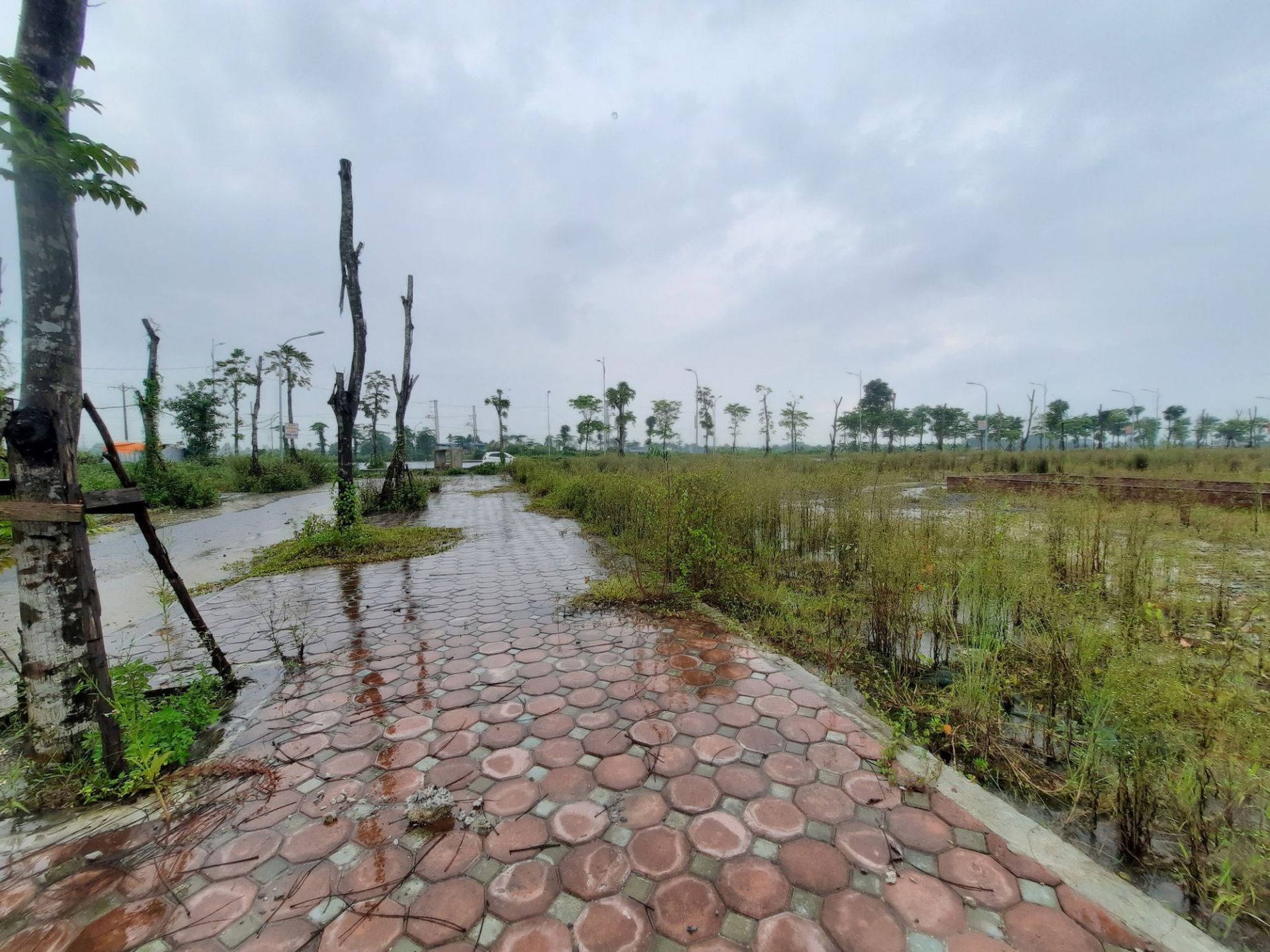 Đề xuất giảm phạt cho hộ kinh doanh chậm nộp hồ sơ thuế Đề xuất giảm phạt cho hộ kinh doanh chậm nộp hồ sơ thuế