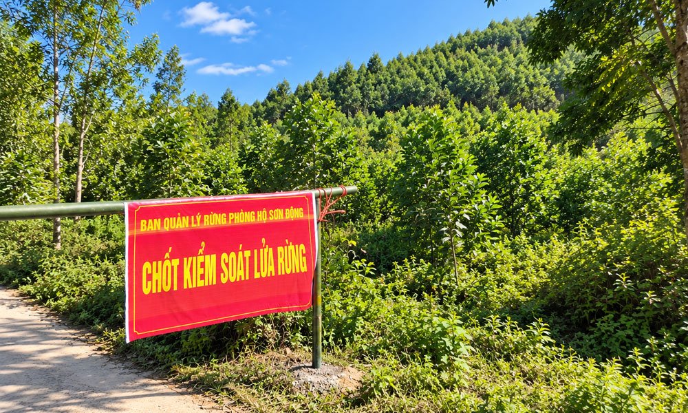 Ban Quản lý rừng phòng hộ Sơn Động lập chốt kiểm soát tại các khu vực trọng điểm nhằm ngăn ngừa nguy cơ cháy rừng. Ban Quản lý rừng phòng hộ Sơn Động lập chốt kiểm soát tại các khu vực trọng điểm nhằm ngăn ngừa nguy cơ cháy rừng.