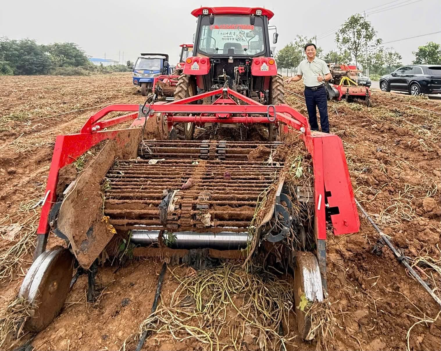 Thu hoạch khoai bằng máy móc Thu hoạch khoai bằng máy móc