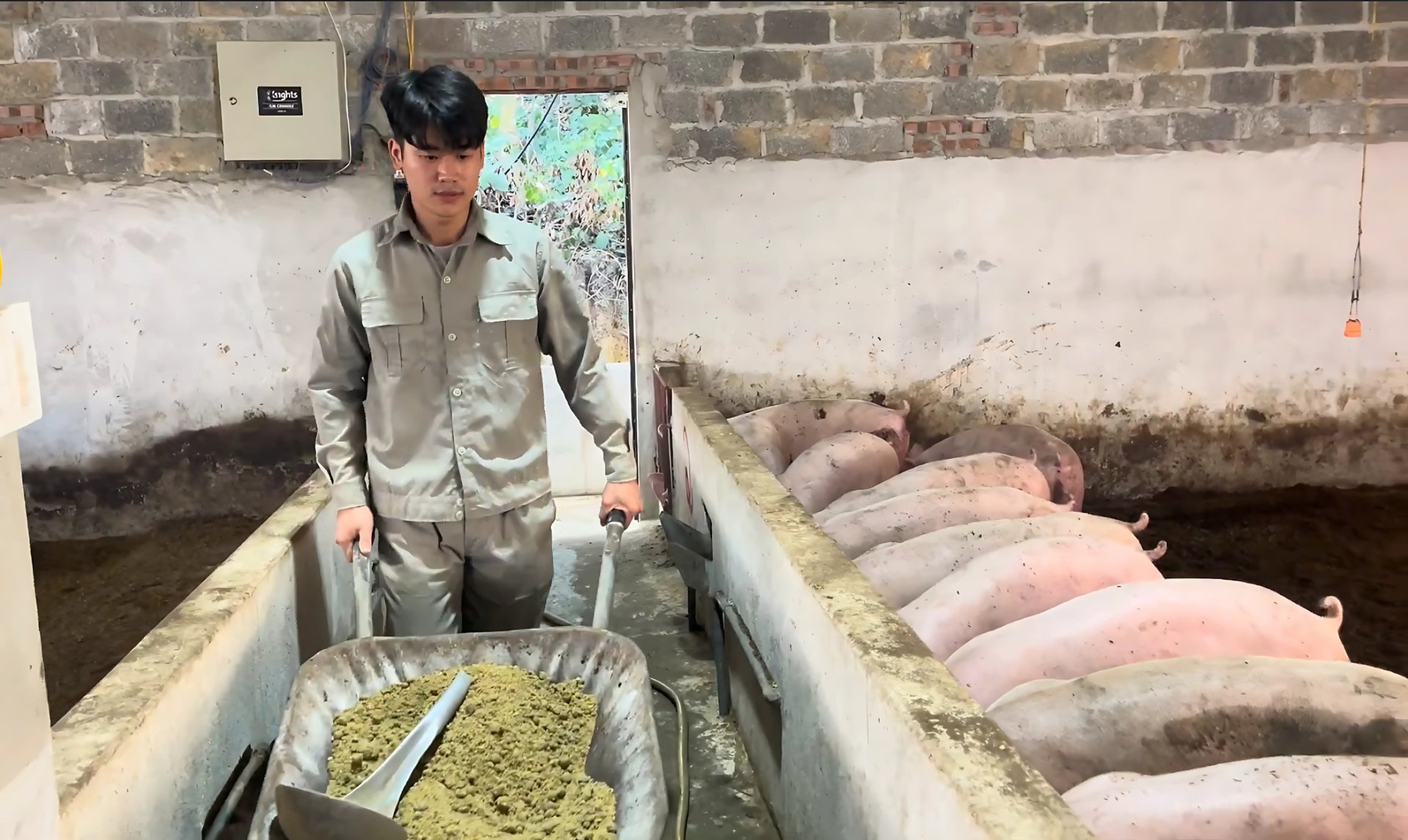 Theo Cục Chăn nuôi và Thú y, những thay đổi hiện nay của ngành có ý nghĩa trực tiếp đối với người tiêu dùng Theo Cục Chăn nuôi và Thú y, những thay đổi hiện nay của ngành có ý nghĩa trực tiếp đối với người tiêu dùng