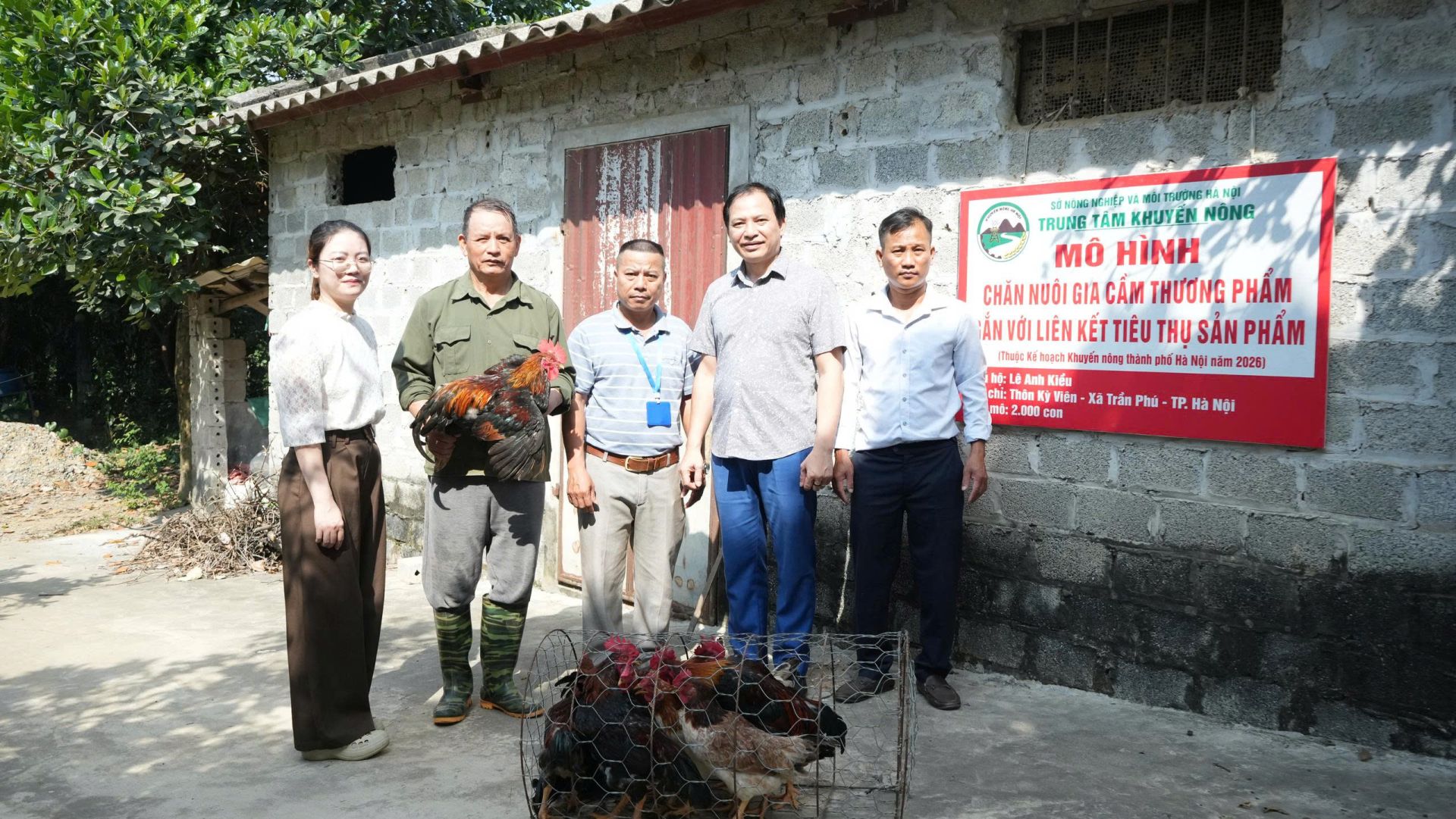 Mô hình Chăn nuôi gia cầm thương phẩm gắn với liên kết tiêu thụ sản phẩm tại xã Trần Phú. Mô hình Chăn nuôi gia cầm thương phẩm gắn với liên kết tiêu thụ sản phẩm tại xã Trần Phú.