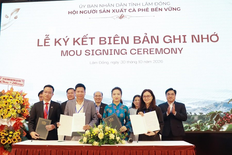 Hiệp hội tổ chức ký kết hợp tác nhằm tăng cường liên kết, mở rộng cơ hội hợp tác và thúc đẩy phát triển ngành cà phê Hiệp hội tổ chức ký kết hợp tác nhằm tăng cường liên kết, mở rộng cơ hội hợp tác và thúc đẩy phát triển ngành cà phê