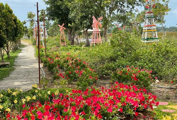 Một c&ocirc;ng vi&ecirc;n trồng hoa tại phường H&agrave; Ti&ecirc;n